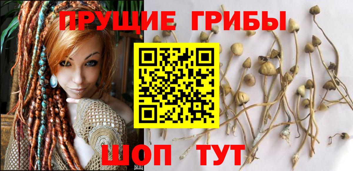 Рассказово  Псилоцибиновые грибы GOLDEN TEACHER  Псилоцибиновые грибы мухоморы  Вход с VPN 